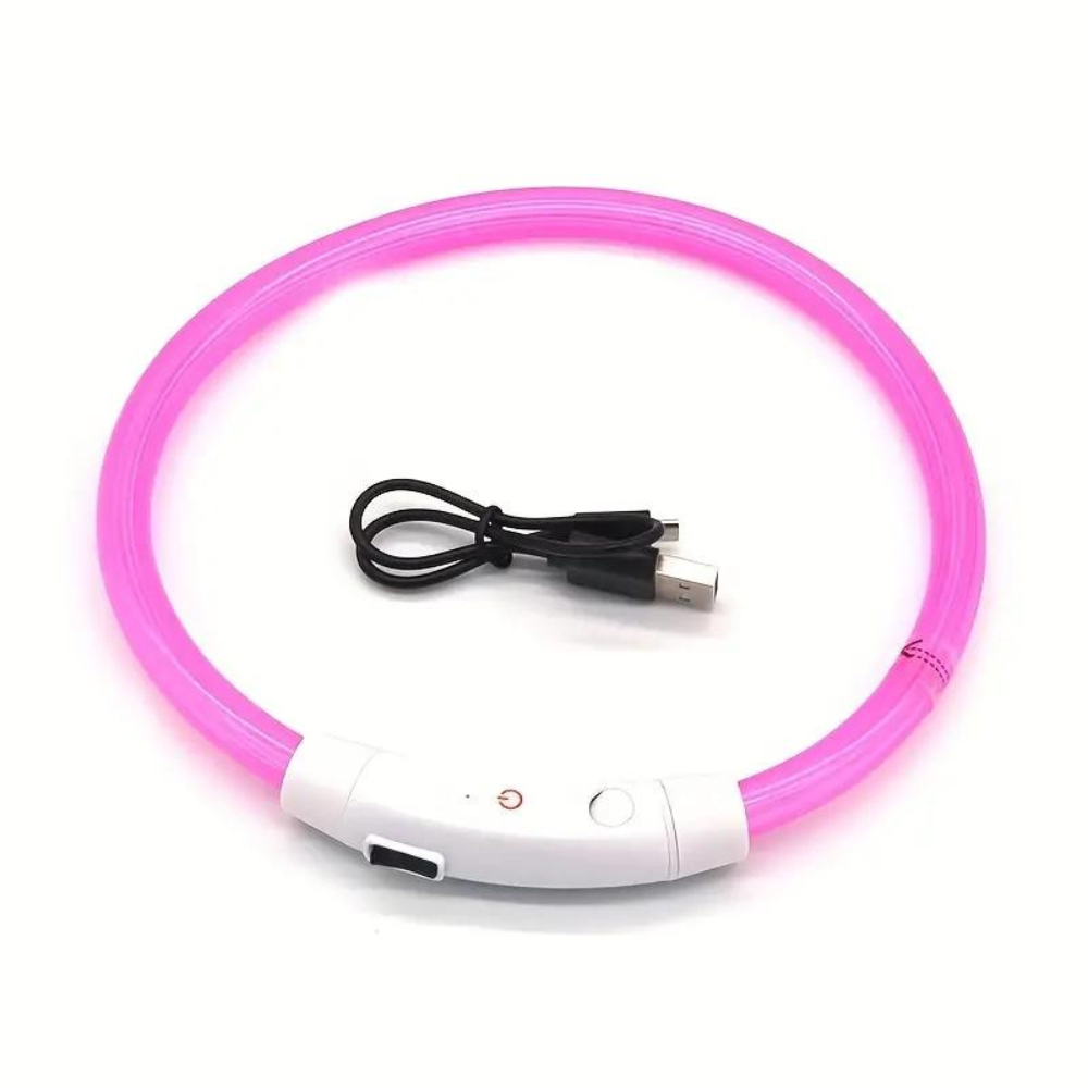 Collares Luz Led
