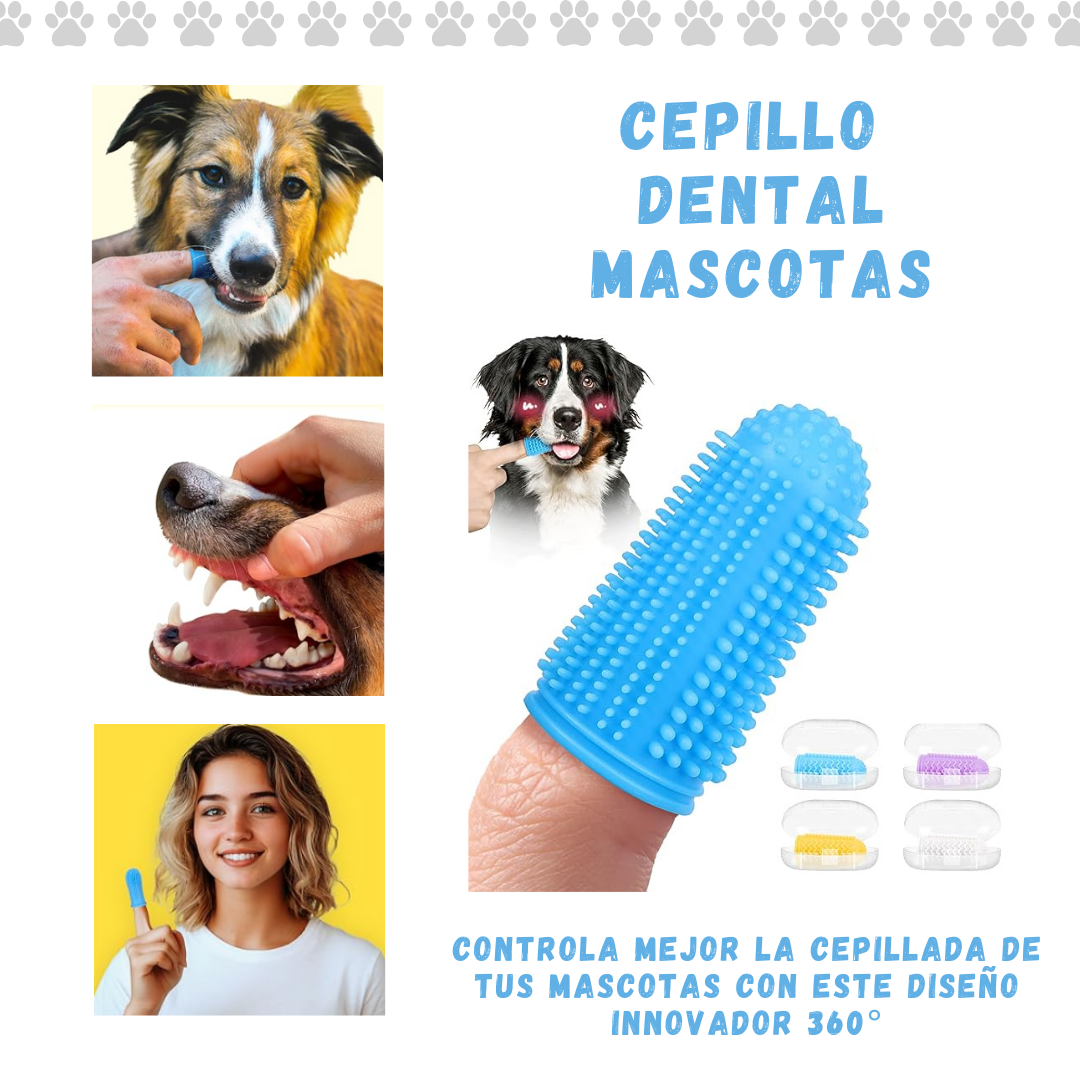 Combo Cepillo + Spray