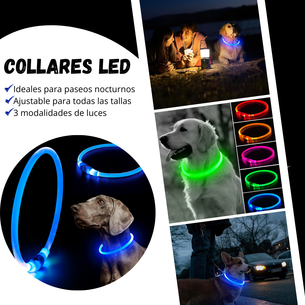 Collares Luz Led