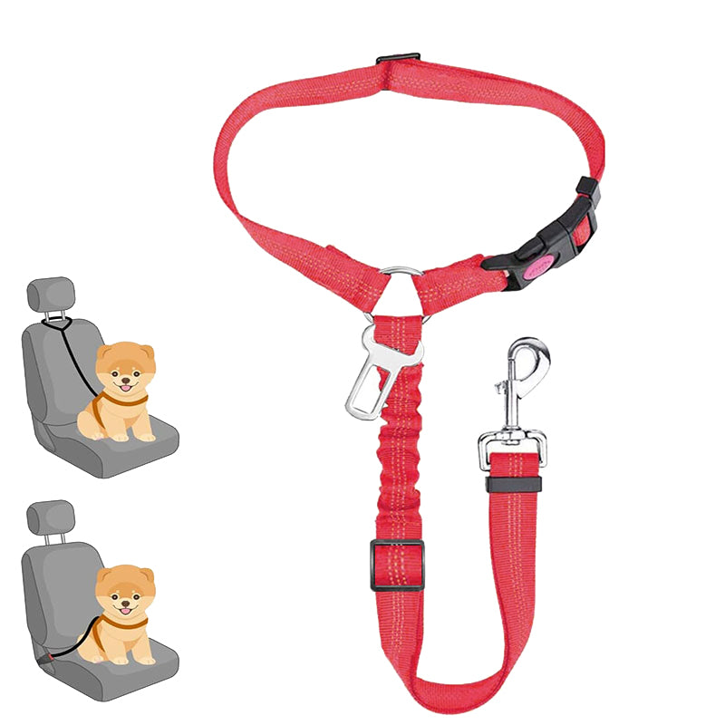 Correa de seguridad para mascotas