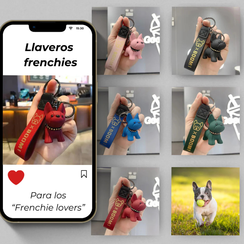 Combo Mascota Limpia
