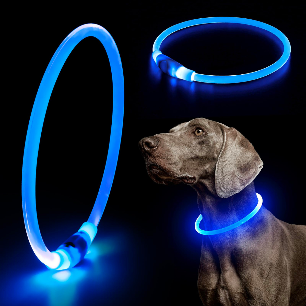 Collares Luz Led
