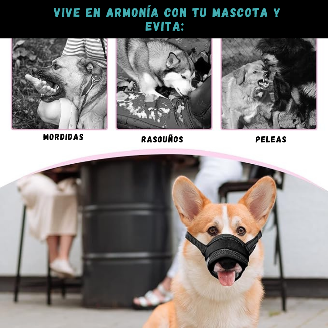 Bozal Ergonómico para Mascotas