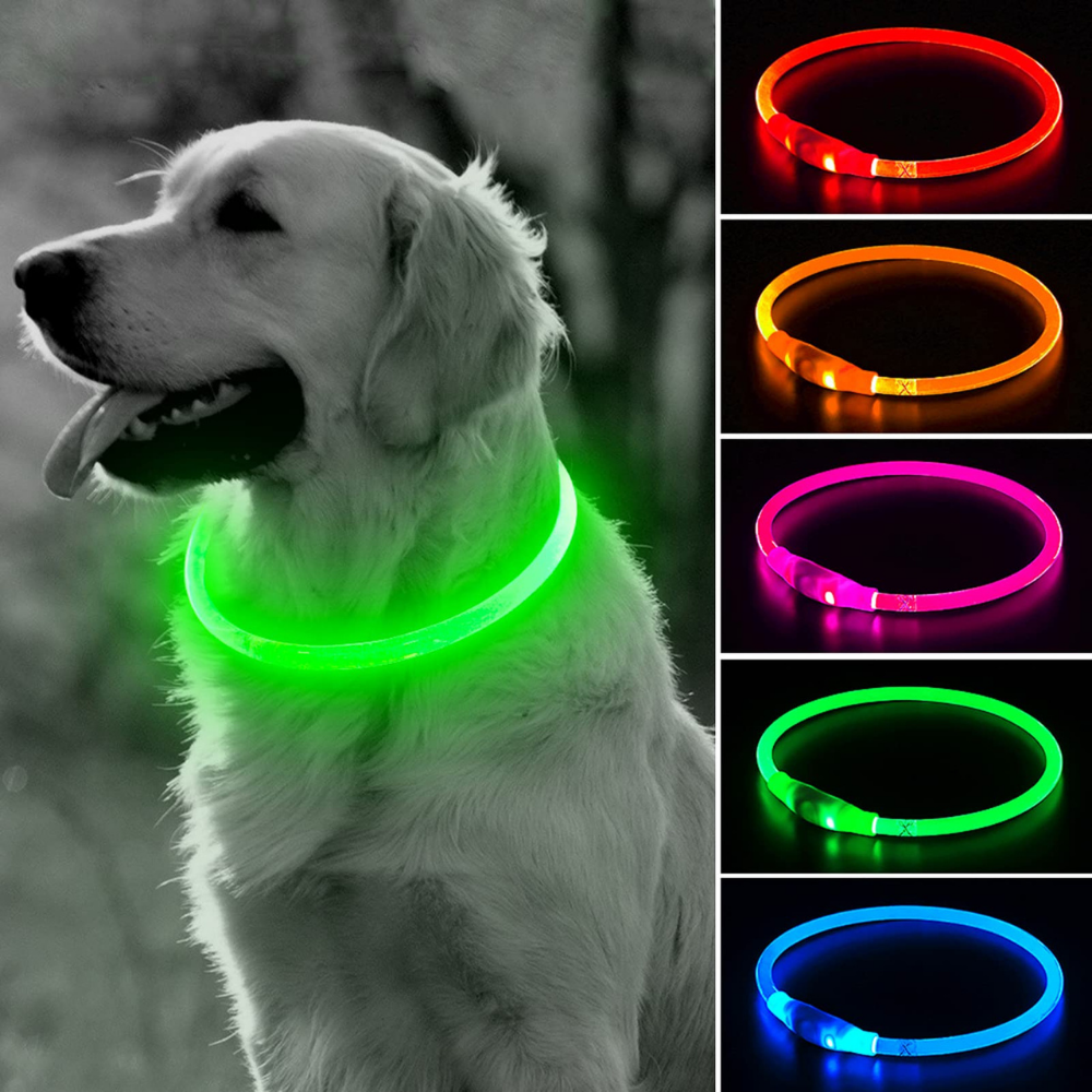 Collares Luz Led