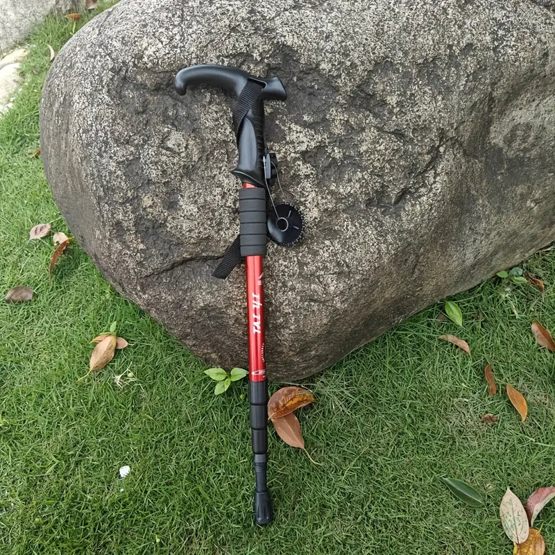 Bastones Trecking