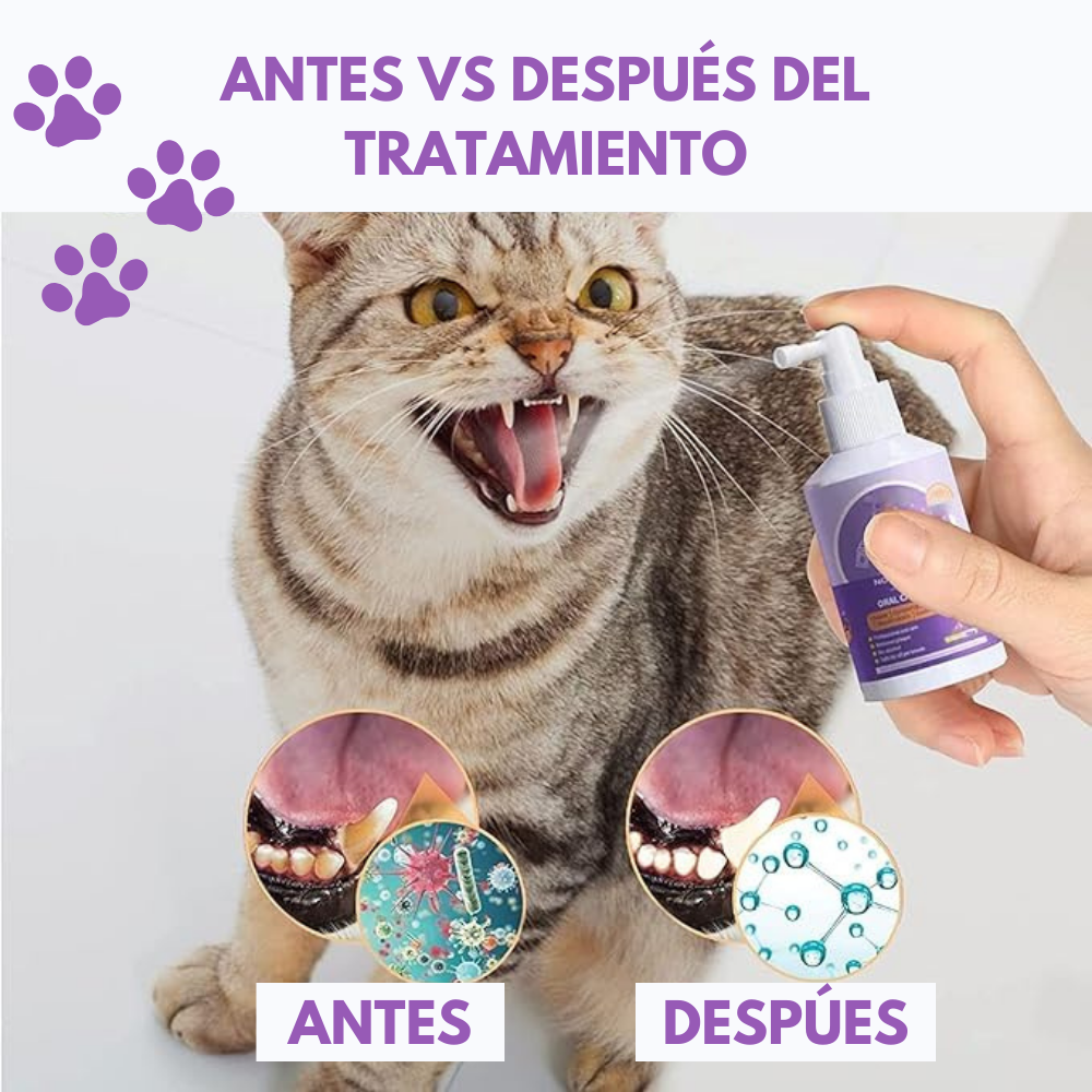 Combo Cepillo + Spray