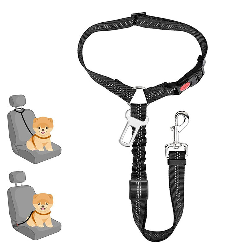 Correa de seguridad para mascotas