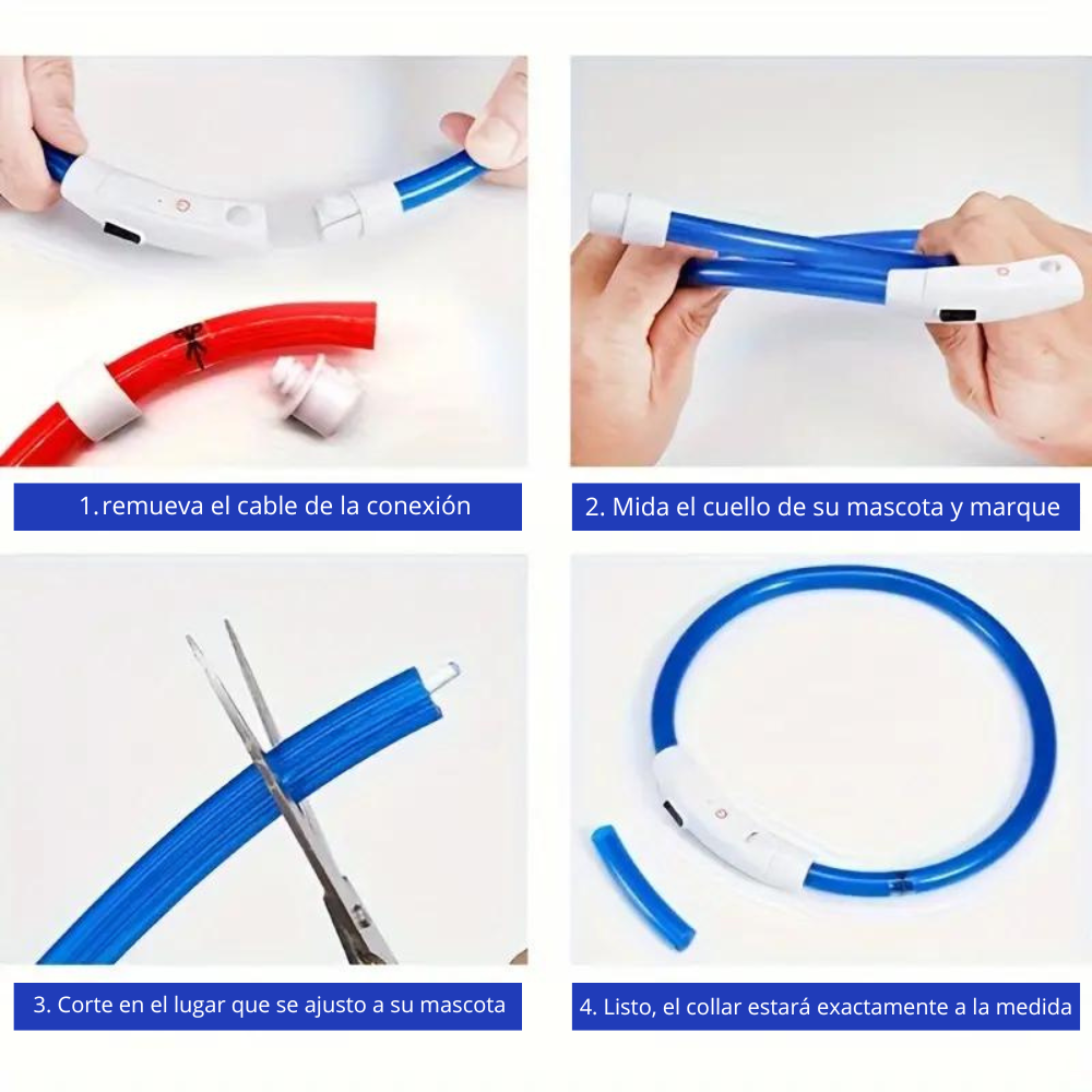 Collares Luz Led