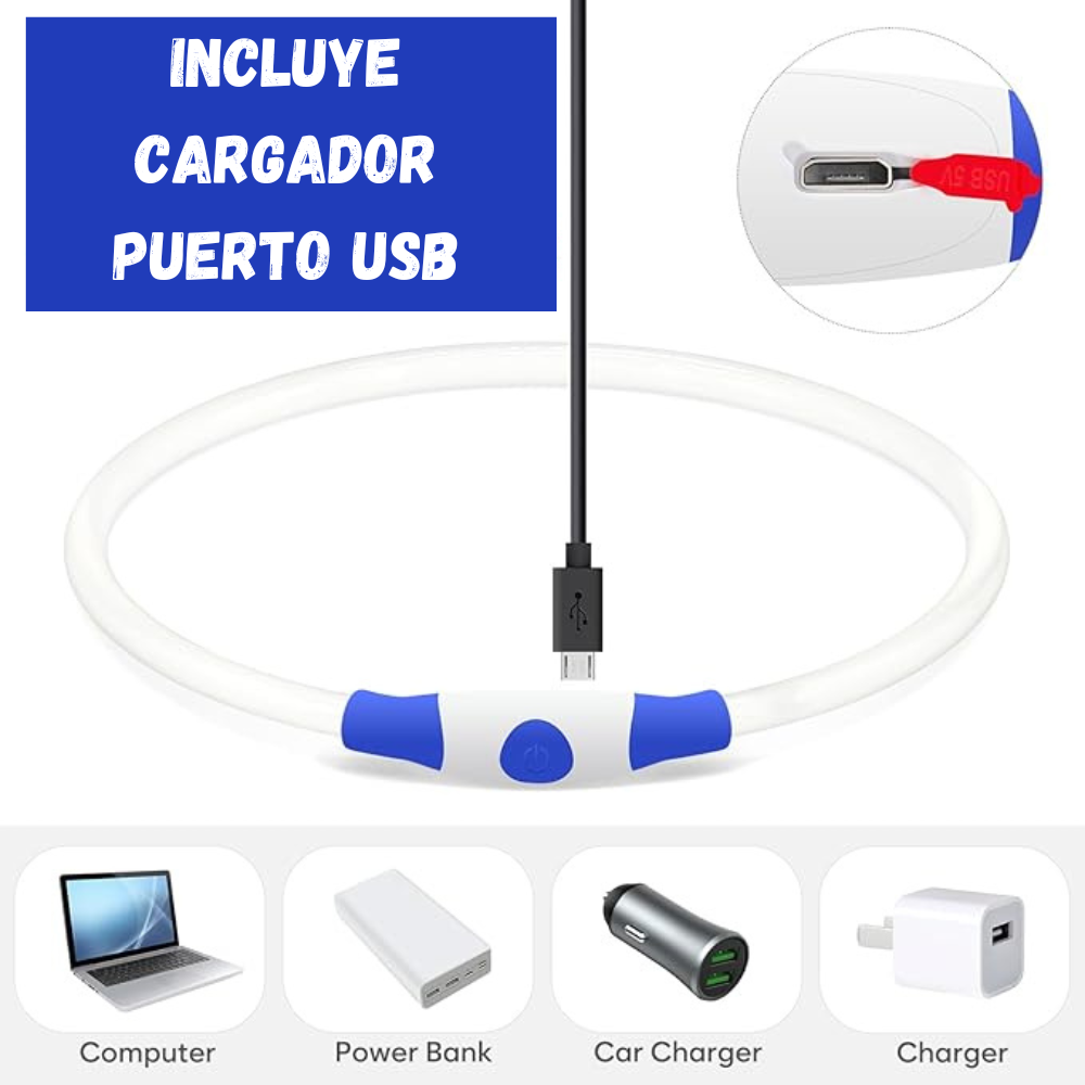 Collares Luz Led