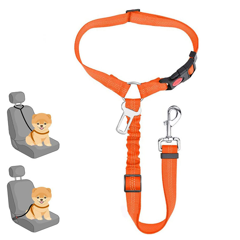 Correa de seguridad para mascotas