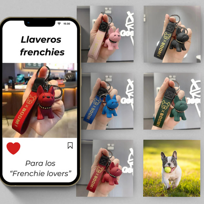 Combo Mascota Limpia