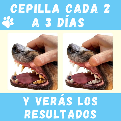 Combo Cepillo + Spray