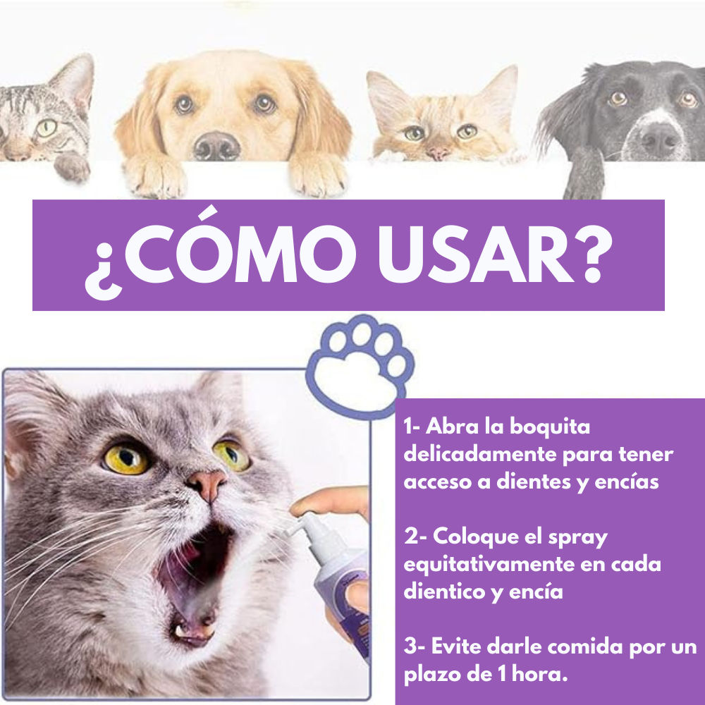 Combo Cepillo + Spray