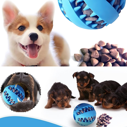 Pelota Masticable para Mascotas