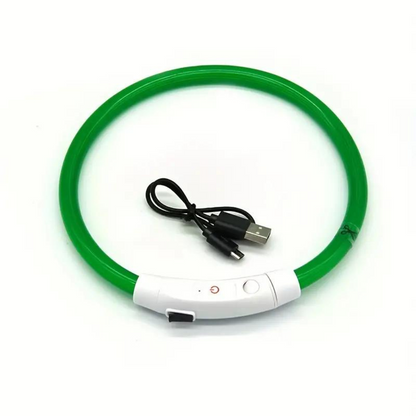 Collares Luz Led