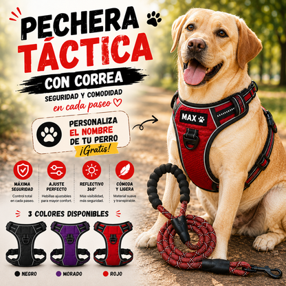 Pechera Táctica + Correa Elástica